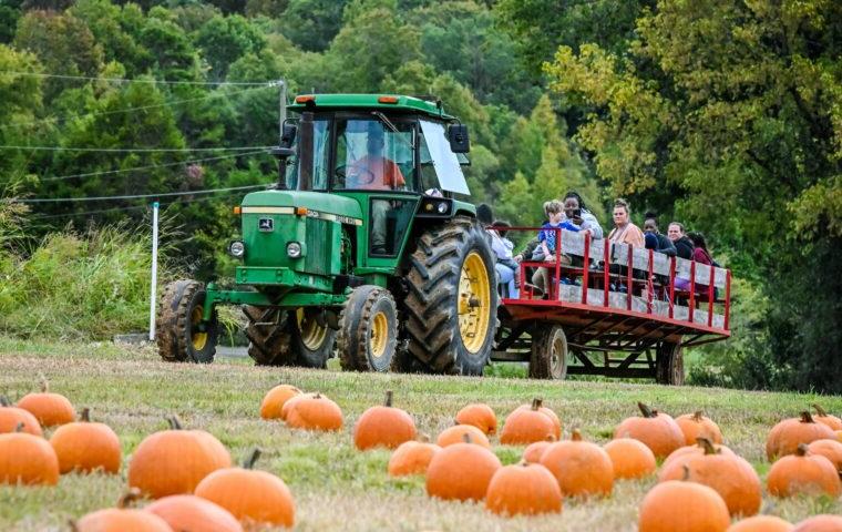 tractor ride at pumpkin patch